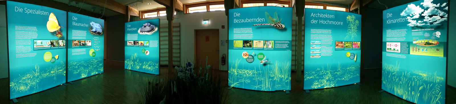 Teilansicht der Leuchttafeln im Sonderausstellungsraum im Naturschutzzentrum Schopfloch