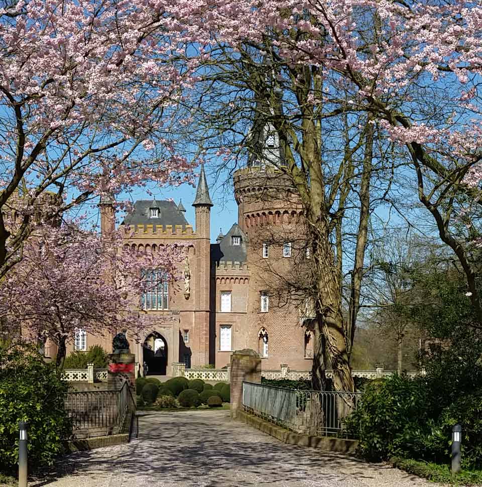Schloss mit Blueten