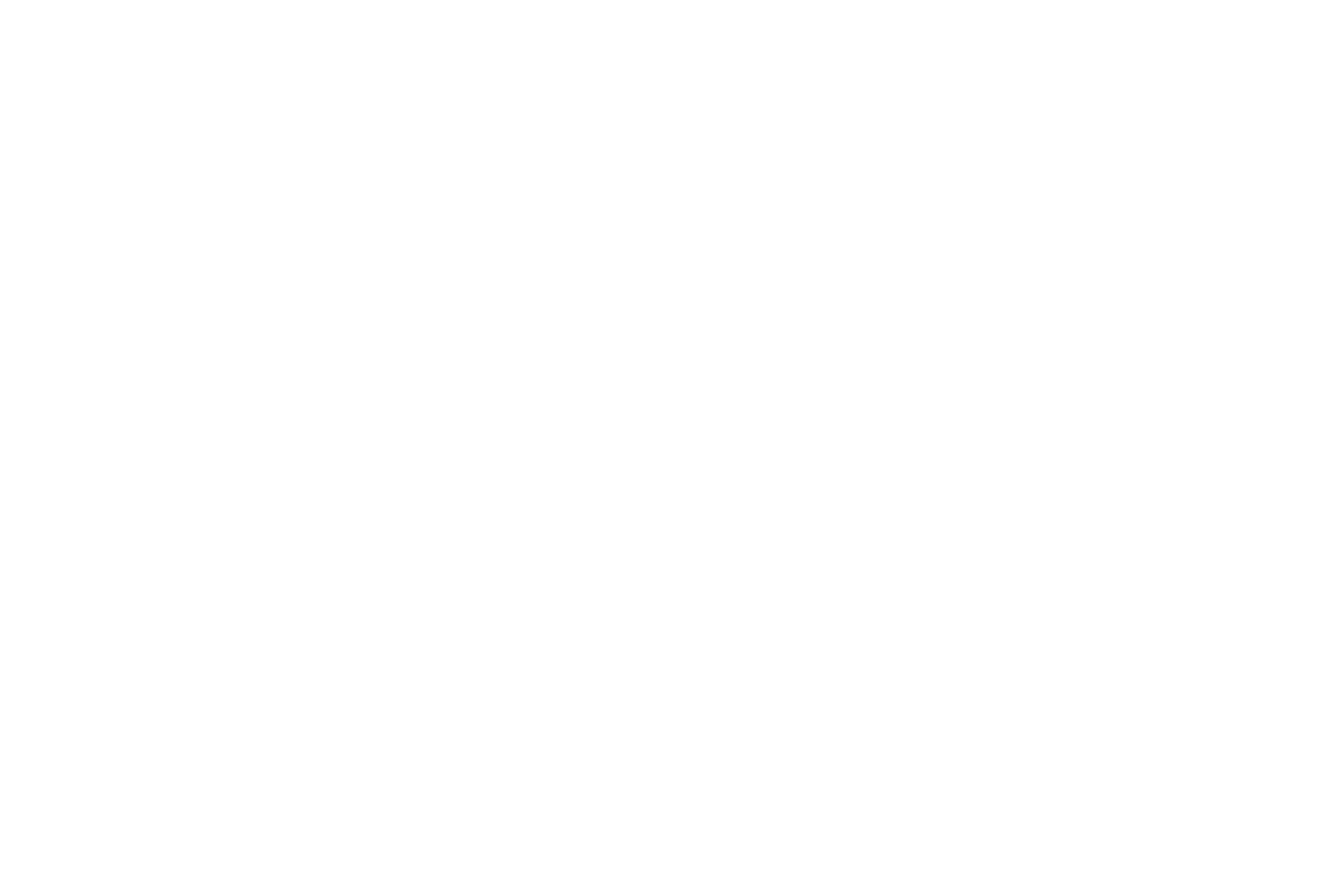 Sprühende Ideen Icon